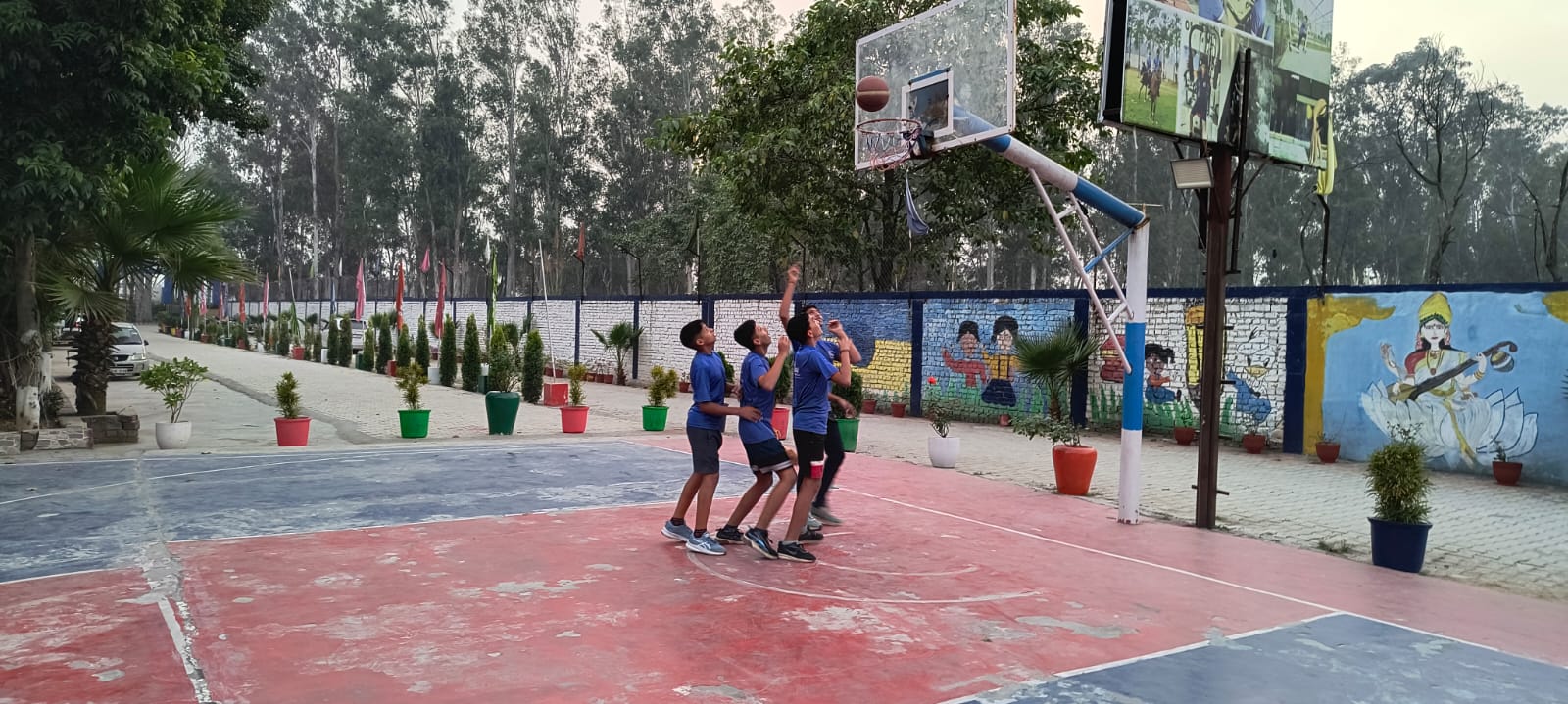 Professional Basketball Court